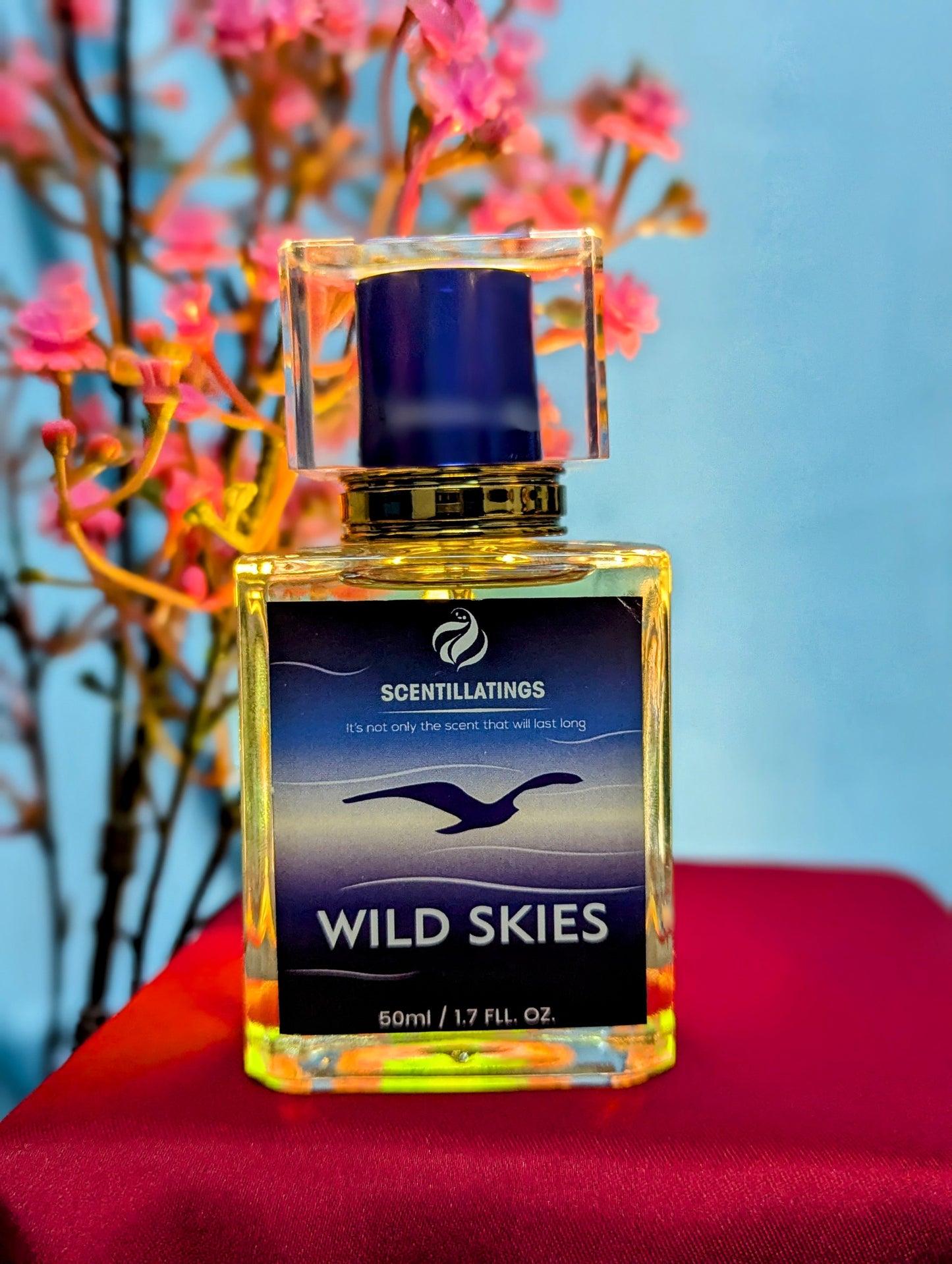 WILD SKIES - The Spirit of Freedom, Boundless and Bold
