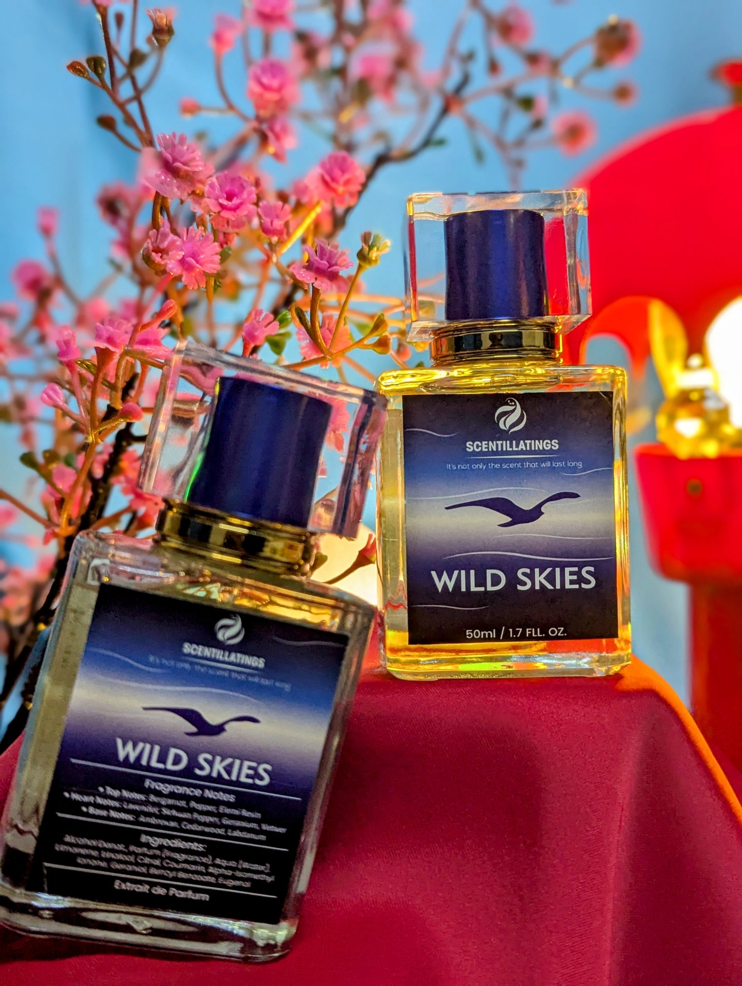 WILD SKIES - The Spirit of Freedom, Boundless and Bold