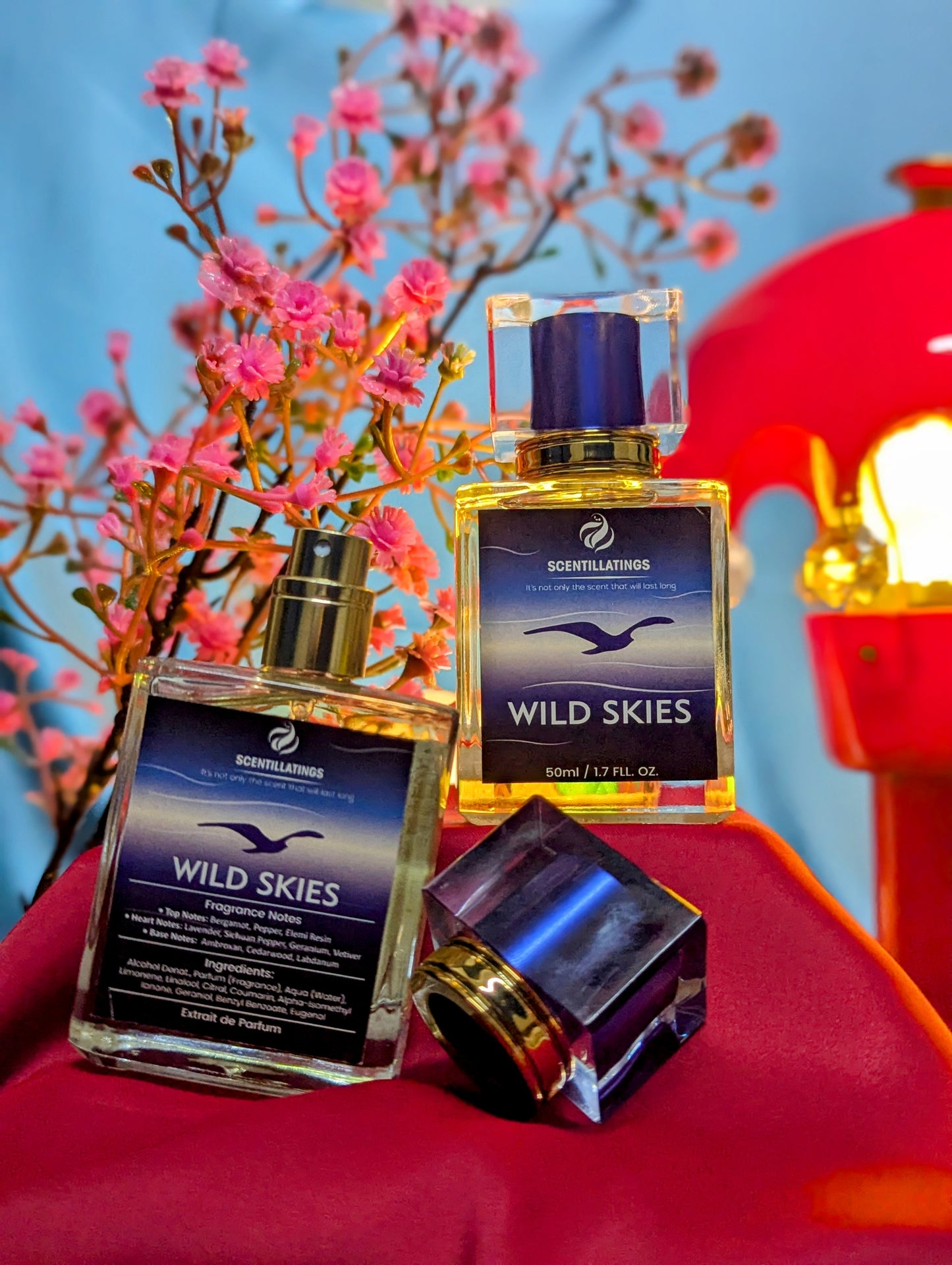 WILD SKIES - The Spirit of Freedom, Boundless and Bold