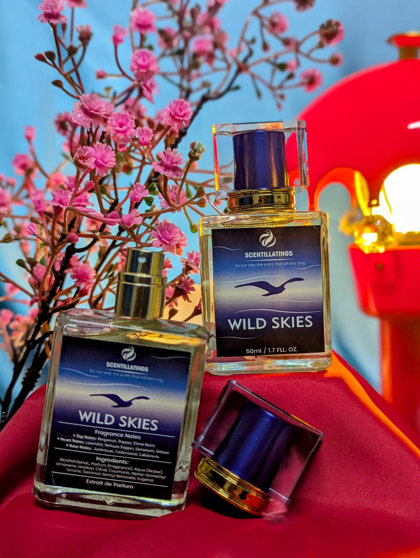 WILD SKIES - The Spirit of Freedom, Boundless and Bold